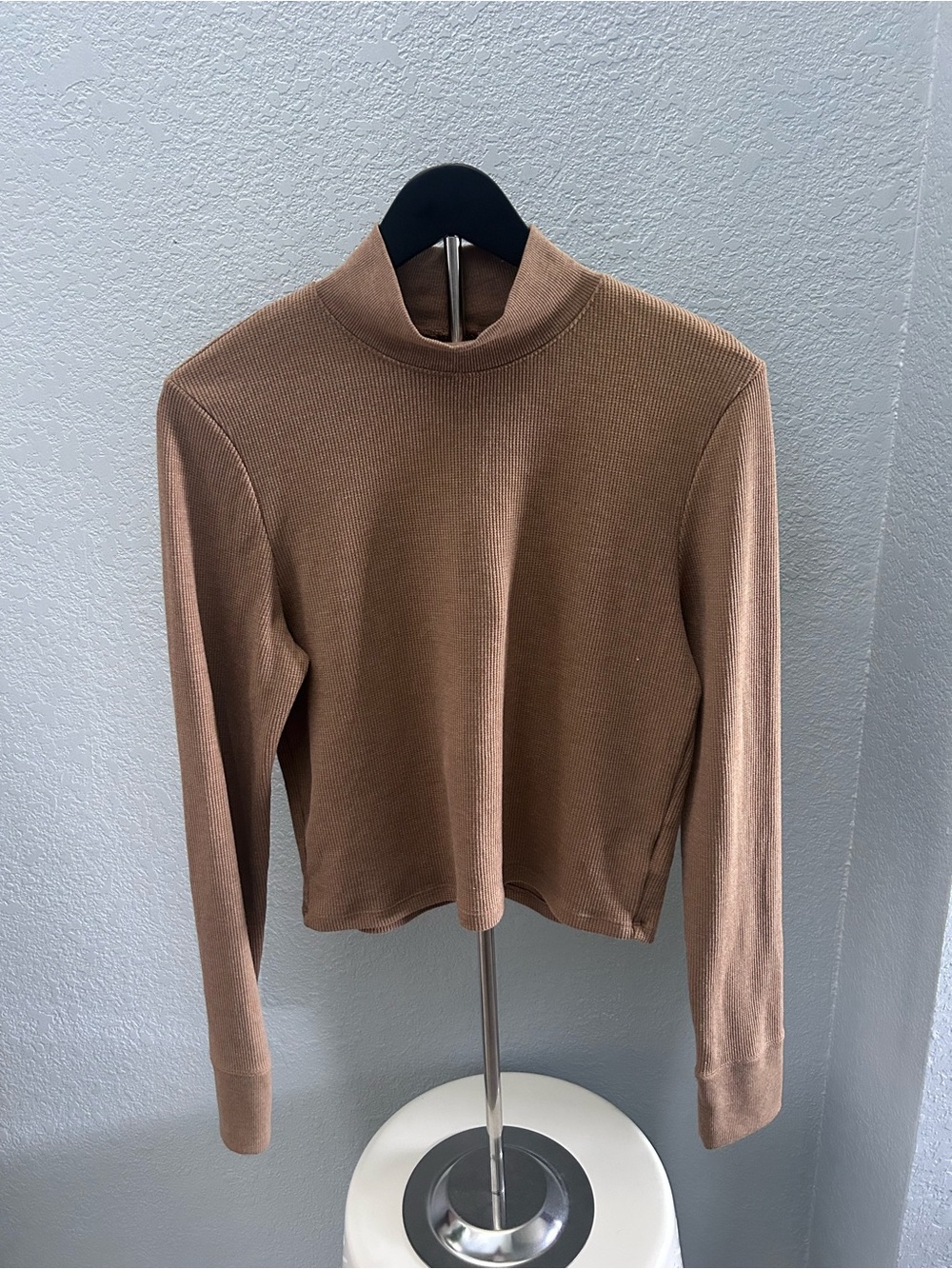 American Eagle Outfitters Ribbed Mock Neck Top in Tan